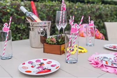 751 Lasso Drive, Kissimmee, FL 34747 - Photo 69