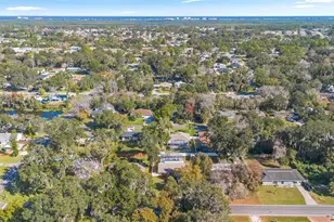 2213 Needle Palm Dr, Edgewater, FL 32141 - Photo 33