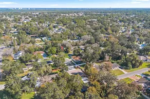 2213 Needle Palm Dr, Edgewater, FL 32141 - Photo 37