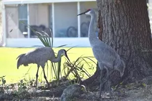 1519 Club Cir, Lakeshore, FL 33854 - Photo 37