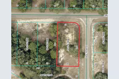 11745 Orange Road, Ocklawaha, FL 32179 - Photo 1