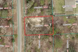 19 Fisher Lane Track, Ocklawaha, FL 32179 - Photo 1