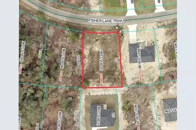 41 Fisher Lane Track, Ocklawaha, FL 32179 - Photo 1