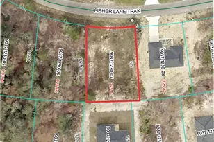 41 Fisher Lane Track, Ocklawaha, FL 32179 - Photo 1