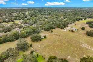 32200 Avington Rd, Sorrento, FL 32776 - Photo 63