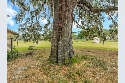 32200 Avington Road, Sorrento, FL 32776 - Photo 43