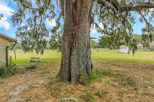 32200 Avington Rd, Sorrento, FL 32776 - Photo 43