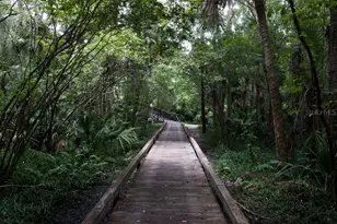 233 Crown Oaks Way, Longwood, FL 32779 - Photo 69