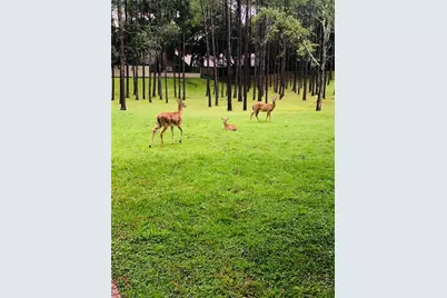 233 Crown Oaks Way #233, Longwood, FL 32779 - Photo 65