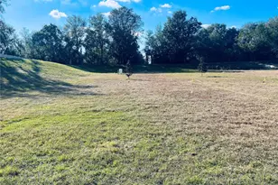 10140 White Magnolia Sq, Thonotosassa, FL 33592 - Photo 7