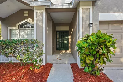 12628 Bramfield Drive, Riverview, FL 33579 - Photo 3