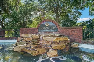 39819 Grove Heights, Lady Lake, FL 32159 - Photo 39