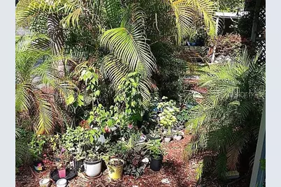 6244 Scenic View Drive, Lakeland, FL 33810 - Photo 3