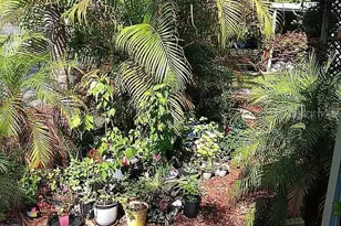 6244 Scenic Vw Dr, Lakeland, FL 33810 - Photo 3