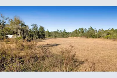 23545 Bishop Avenue, Christmas, FL 32709 - Photo 3