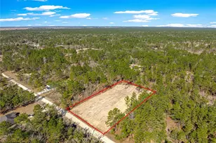 12185 SW 98th St, Dunnellon, FL 34432 - Photo 3