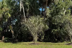 2357 Carrabelle Wy, Sanford, FL 32771 - Photo 19