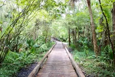 116 Raintree Drive, Longwood, FL 32779 - Photo 67