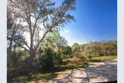 Toms Pond Road, Eustis, FL 32726 - Photo 3