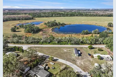 7639 Vine Street, Land O Lakes, FL 34638 - Photo 3