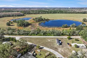 7639 Vine St, Land O Lakes, FL 34638 - Photo 3