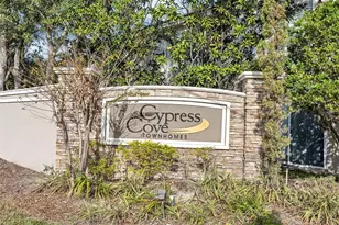 10127 Tranquility Way, Tampa, FL 33625 - Photo 29