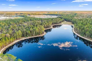 194 Eagle Hbr Wy, Daytona Beach, FL 32124 - Photo 33