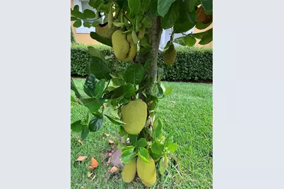 9331 Southern Breeze Drive, Orlando, FL 32836 - Photo 27