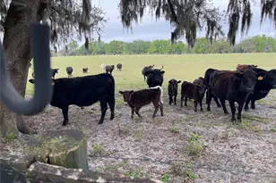 8089 SE 174th Belhaven Loop, The Villages, FL 32162 - Photo 27