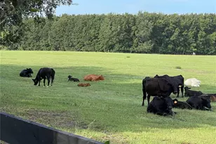 8089 SE 174th Belhaven Loop, The Villages, FL 32162 - Photo 3