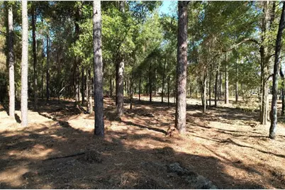 Sw 18th Place, Ocala, FL 34481 - Photo 3