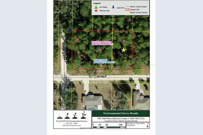 Sw 18th Place, Ocala, FL 34481 - Photo 7