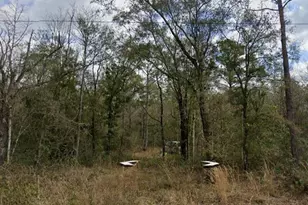 10230 Nikolich Ave, Hastings, FL 32145 - Photo 1