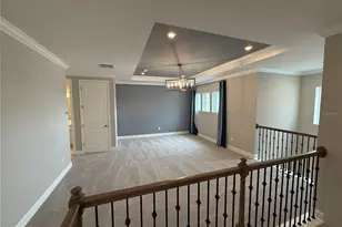 33314 Castaway Loop, Wesley Chapel, FL 33543 - Photo 19