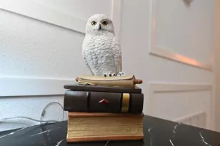 2956 Penelope Loop, Kissimmee, FL 34746 - Photo 21