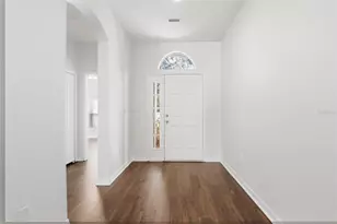 19043 New Passage Blvd, Land O Lakes, FL 34638 - Photo 7