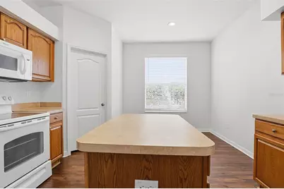 19043 New Passage Boulevard, Land O Lakes, FL 34638 - Photo 17