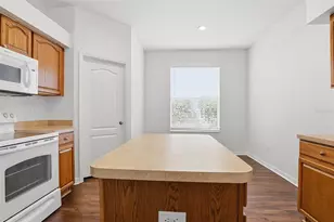 19043 New Passage Blvd, Land O Lakes, FL 34638 - Photo 17