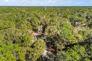 10385 SW 152nd Pl, Dunnellon, FL 34432 - Photo 29