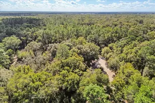 10385 SW 152nd Pl, Dunnellon, FL 34432 - Photo 31