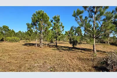 17718 NW 266th Street, Okeechobee, FL 34972 - Photo 5