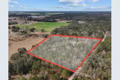 11975 162nd Terrace, Mc Alpin, FL 32062 - Photo 47