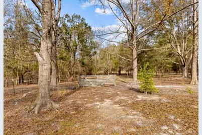 11975 162nd Terrace, Mc Alpin, FL 32062 - Photo 45