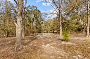 11975 162nd Terrace, Mc Alpin, FL 32062 - Photo 45