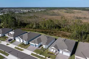 2575 Pine Preserve Ct, Saint Cloud, FL 34771 - Photo 35