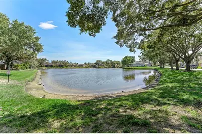 1291 Blackrush Drive, Tarpon Springs, FL 34689 - Photo 61