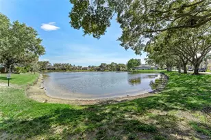 1291 Blackrush Dr, Tarpon Springs, FL 34689 - Photo 61