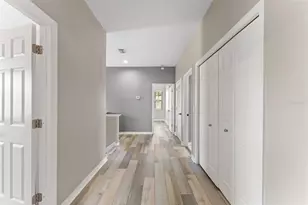 1291 Blackrush Dr, Tarpon Springs, FL 34689 - Photo 37