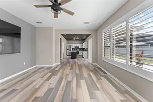 1291 Blackrush Dr, Tarpon Springs, FL 34689 - Photo 27