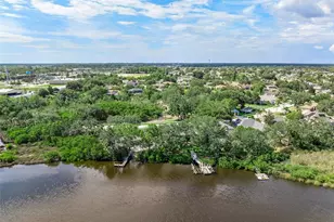 1291 Blackrush Dr, Tarpon Springs, FL 34689 - Photo 67